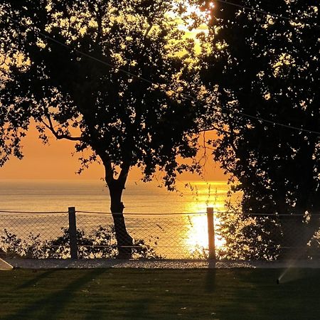 Relais Il Giardino Fra Gli Ulivi Villa Torino di Sangro Exterior foto