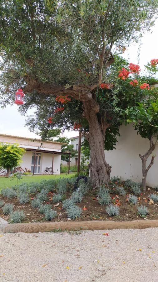 Relais Il Giardino Fra Gli Ulivi Villa Torino di Sangro Exterior foto