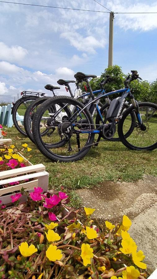 Relais Il Giardino Fra Gli Ulivi Villa Torino di Sangro Exterior foto