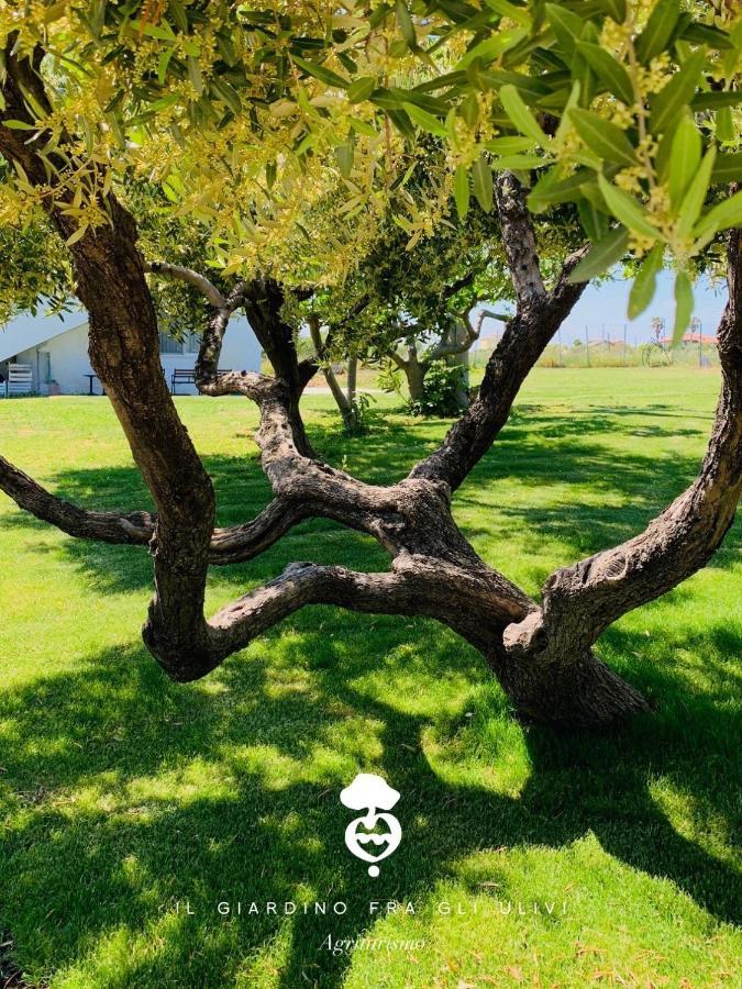 Relais Il Giardino Fra Gli Ulivi Villa Torino di Sangro Exterior foto